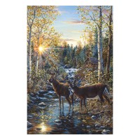 Whitetail Deer Lighted Canvas 24 x 16