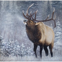 Emperor of the Woods Print Canvas Signed